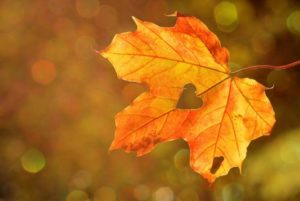 Kolejna strata… [HISTORIA PORONIENIA]