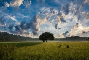 Nasz aniołeczek – historia poronienia