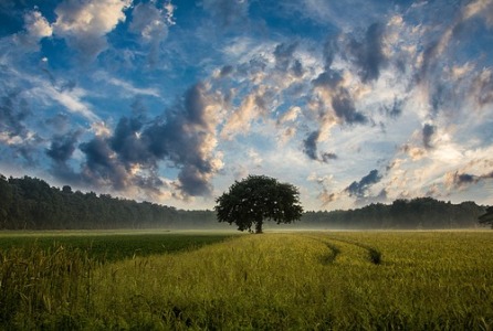 Nasz aniołeczek – historia poronienia