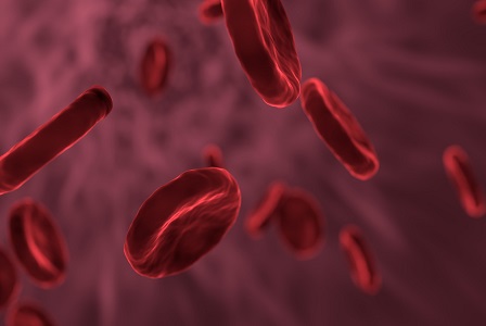 Czym są chromosomy i kariotyp, Badanie kariotypu