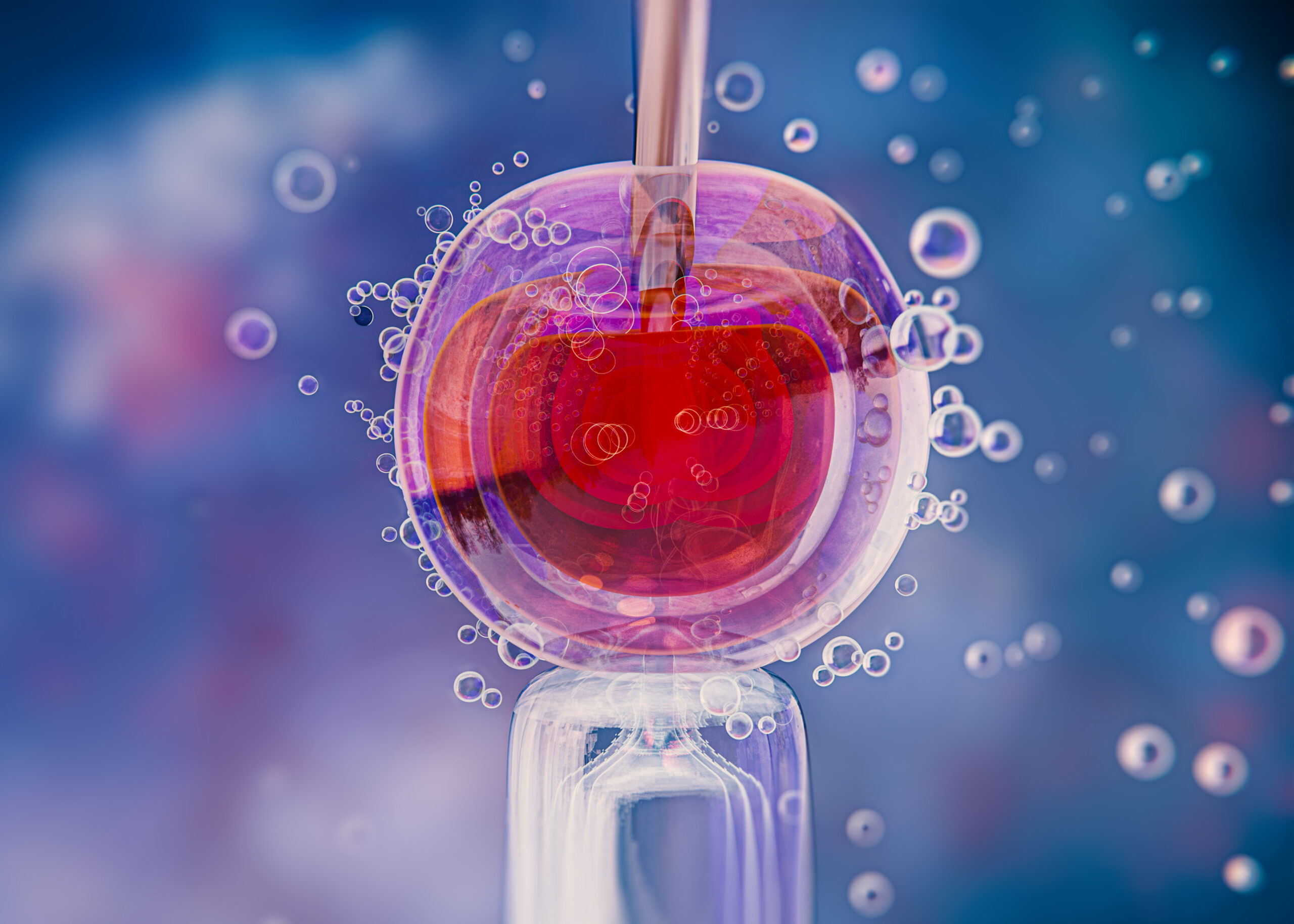 Nieudany transfer in vitro – co dalej?