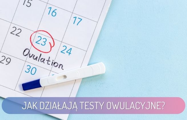 Testy owulacyjne po poronieniu