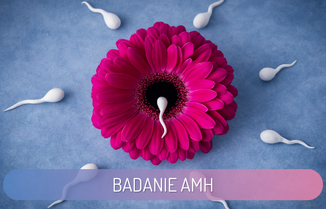 badanie amh - cena, kiedy wykonać