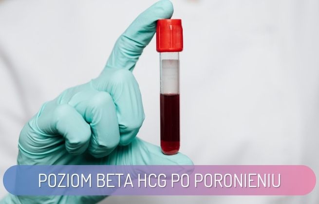 poziom beta hCG po poronieniu - probówka z krwią