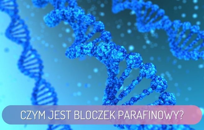 bloczek parafinowy -grafika przedstawia helisę dna