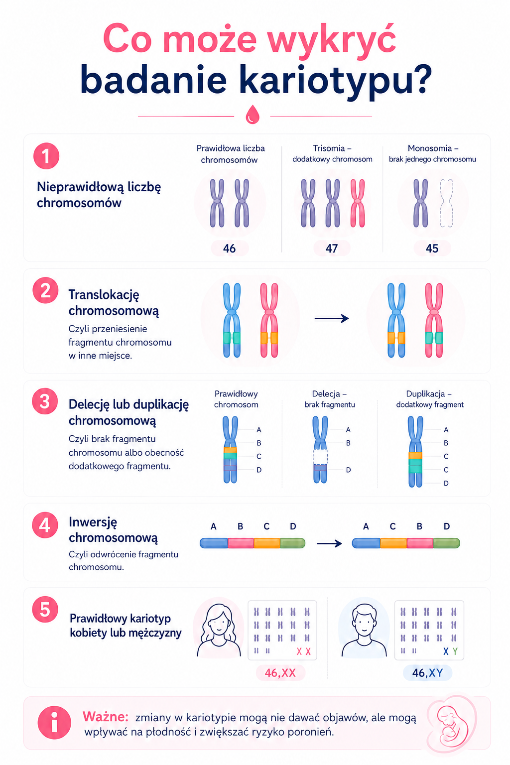 badanie kariotypu -Grafika edukacyjna pokazująca, co może wykryć badanie kariotypu: nieprawidłową liczbę chromosomów, translokacje, delecje, duplikacje, inwersje oraz prawidłowy kariotyp kobiety i mężczyzny. badanie kariotypu