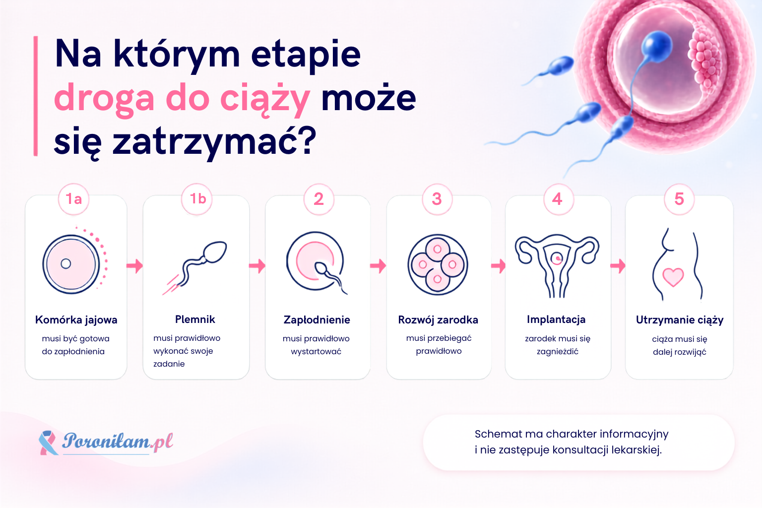 Etapy od dojrzewania komórki jajowej do utrzymania ciąży, na których może pojawić się trudność.