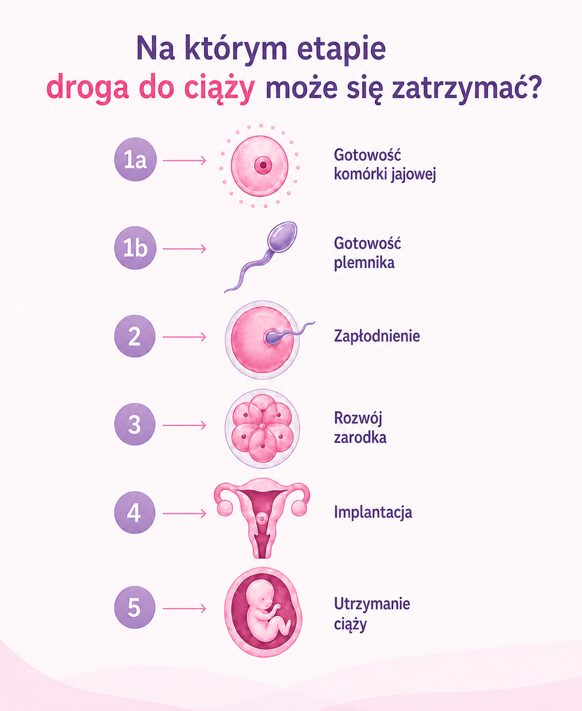 na ktorym etapie ciaza może się zatrzymac mobile